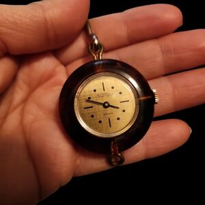 Gold and Brown Wearable Watch